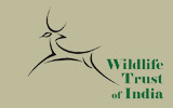 Wildlife Trust of India